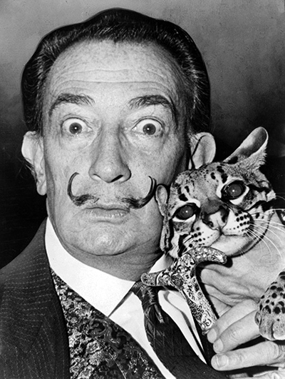 Salvador Dali Paintings